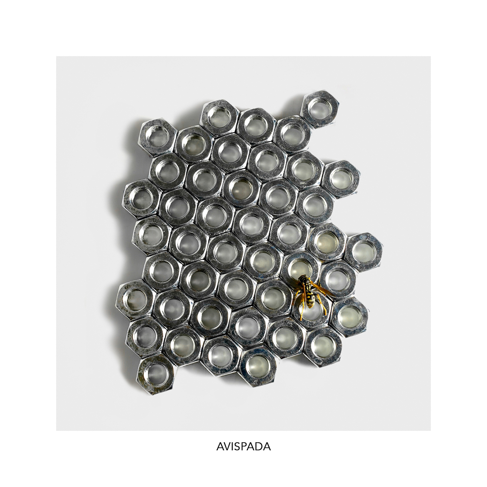 Avispada