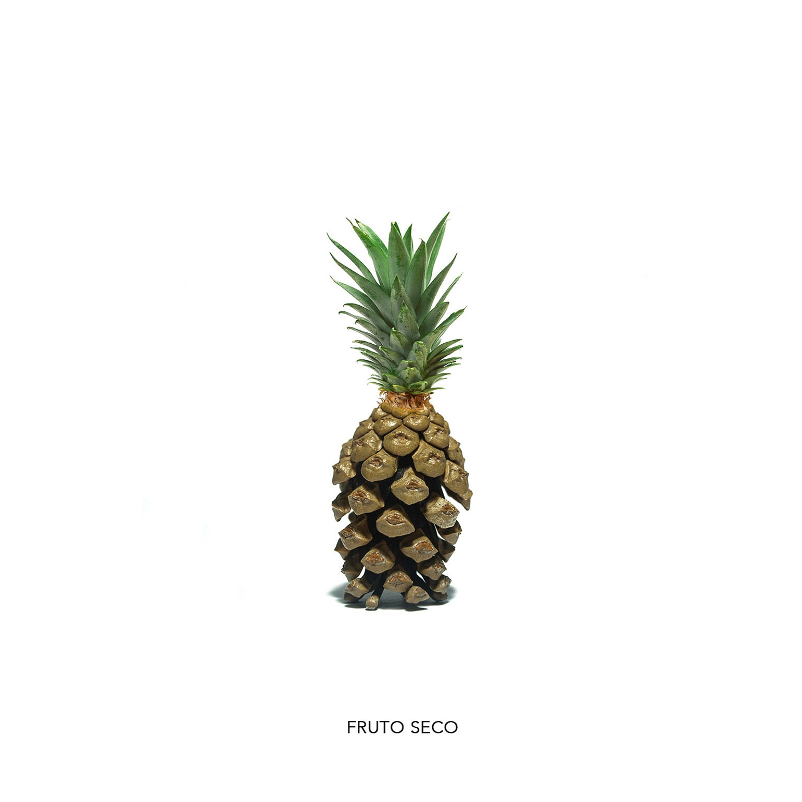 Fruto seco