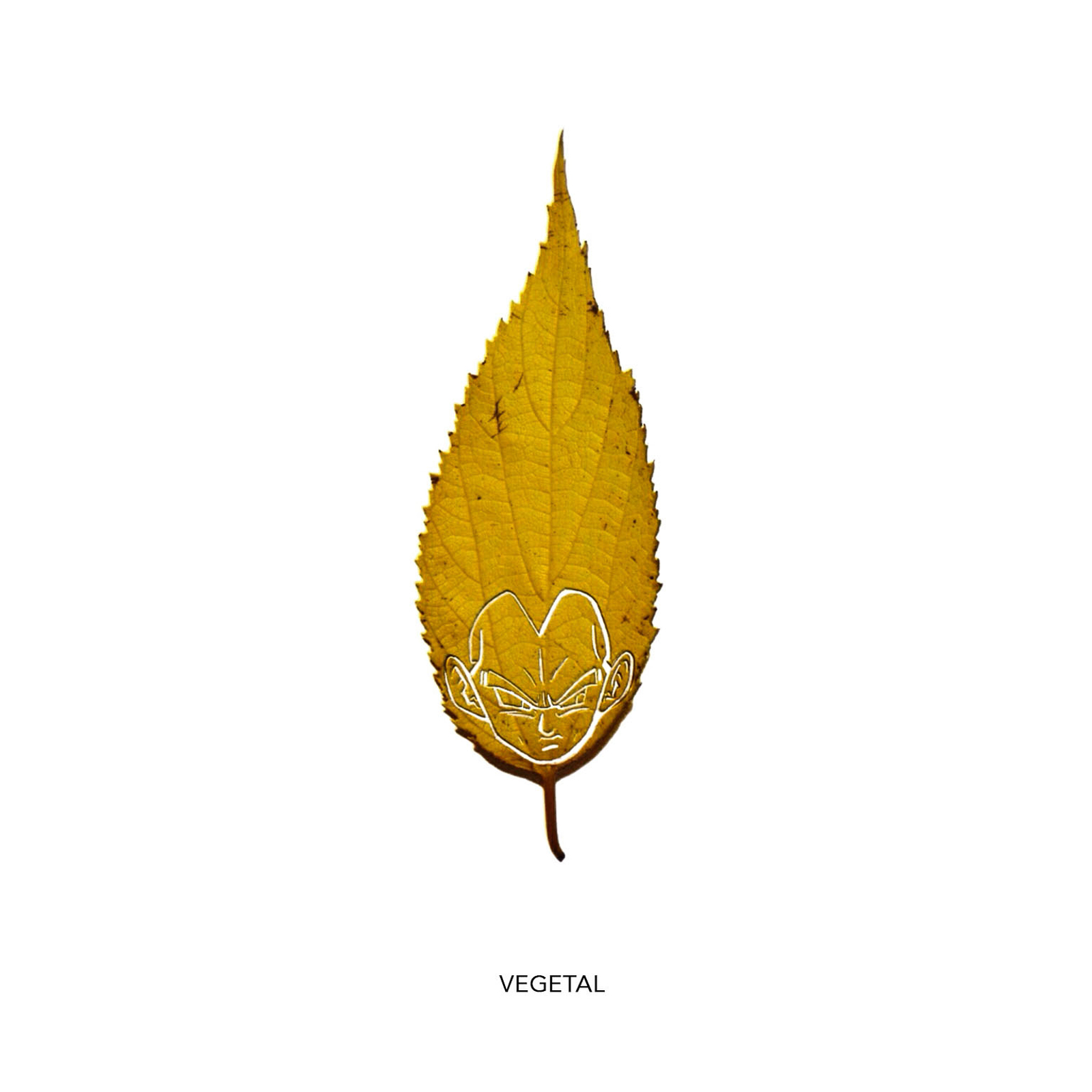 Vegetal